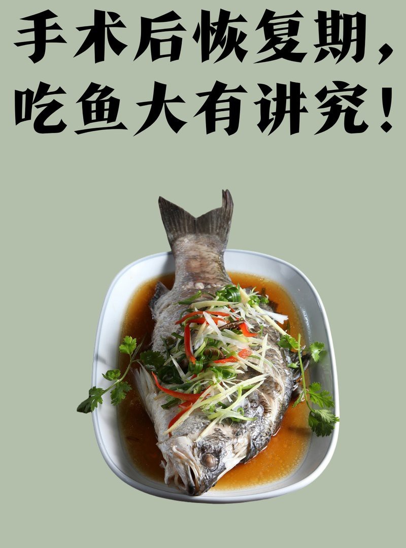 有哪些食物適合龍魚翻鰓手術(shù)后恢復(fù)？