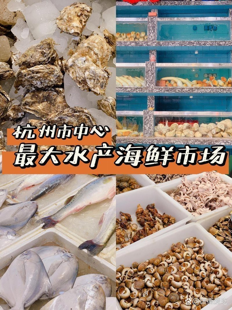 杭州龍魚(yú)批發(fā)市場(chǎng)在哪個(gè)位置啊