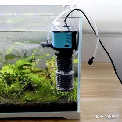 底濾魚缸糞便的清理方法：底濾魚缸糞便吸不走怎么辦 底濾魚缸糞便的清理方法：底濾魚缸糞便吸不走怎么辦 魚缸百科 第3張