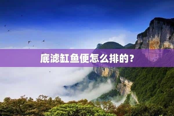 底濾魚缸糞便的清理方法：底濾魚缸糞便吸不走怎么辦 底濾魚缸糞便的清理方法：底濾魚缸糞便吸不走怎么辦 魚缸百科 第1張