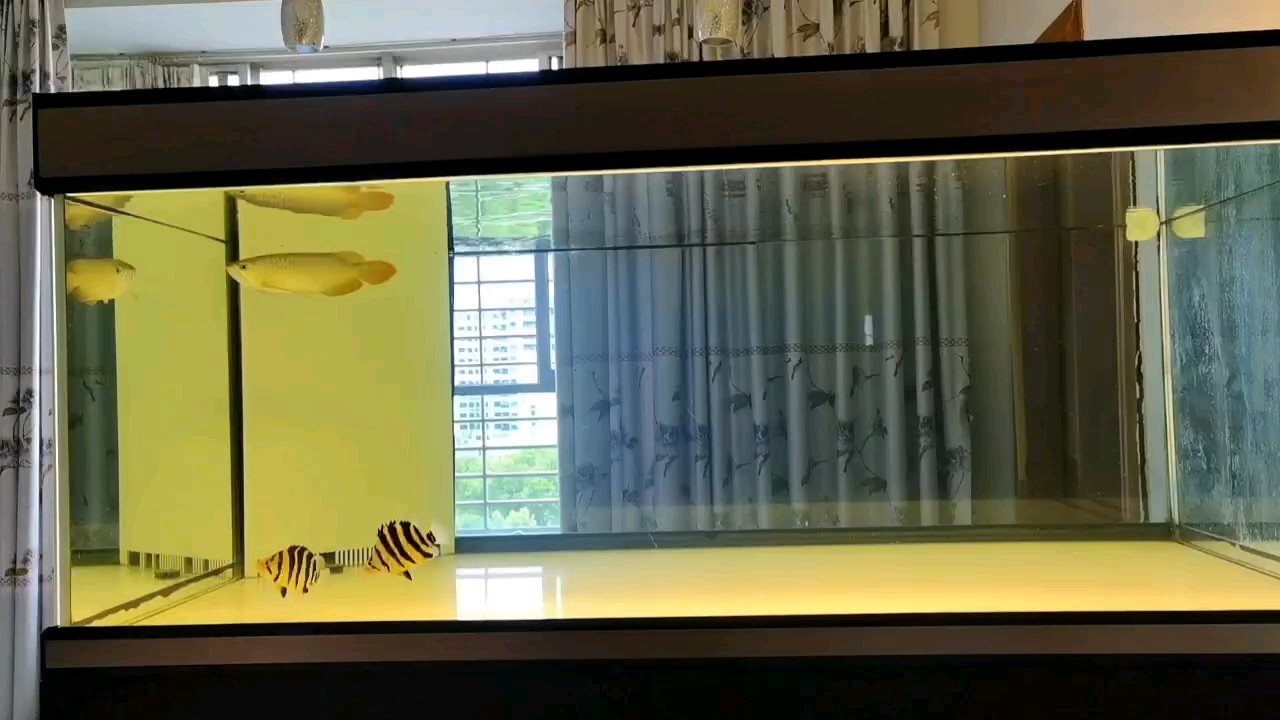 空氣缸原來如此！ 空氣缸原來如此！ 龍魚論壇