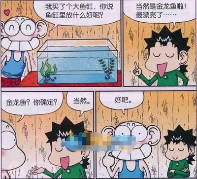介紹金龍魚的做法作文英語：如何制作一道美味的金龍魚菜肴