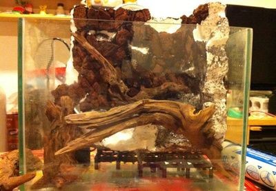 環氧樹脂可以做魚缸嗎（環氧樹脂可以用于制作魚缸但需要注意其可能對魚蝦的影響） 環氧樹脂可以做魚缸嗎（環氧樹脂可以用于制作魚缸但需要注意其可能對魚蝦的影響） 魚缸百科 第3張
