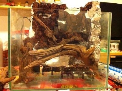 環氧樹脂可以做魚缸嗎（環氧樹脂可以用于制作魚缸但需要注意其可能對魚蝦的影響） 環氧樹脂可以做魚缸嗎（環氧樹脂可以用于制作魚缸但需要注意其可能對魚蝦的影響） 魚缸百科 第2張