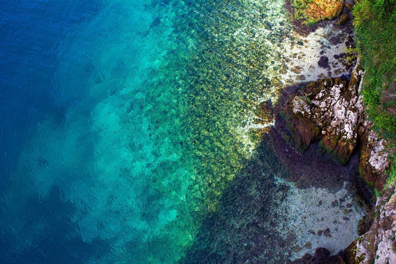 <strong><mark>珠海</mark></strong>市香洲區拱北榮耀達水族館