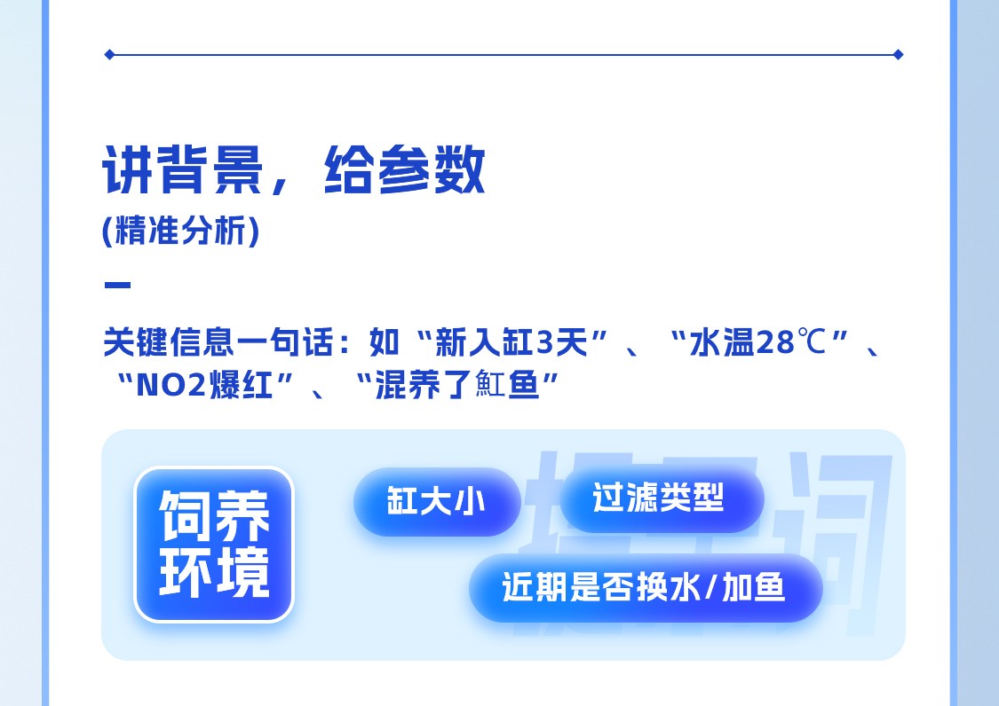 更智慧，更快速，AI養魚管家震撼上線~