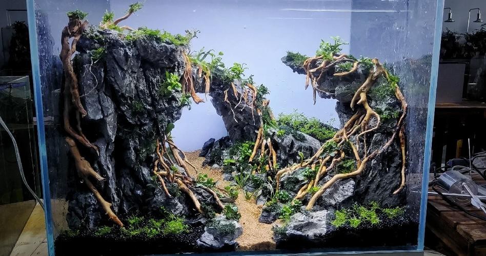 有沒(méi)有更多自然風(fēng)格的龍魚(yú)缸造景圖？