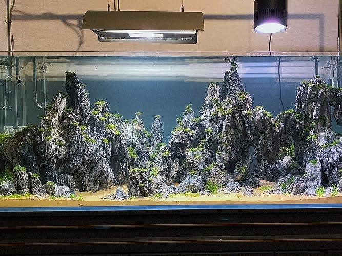 有沒(méi)有更多自然風(fēng)格的龍魚(yú)缸造景圖？