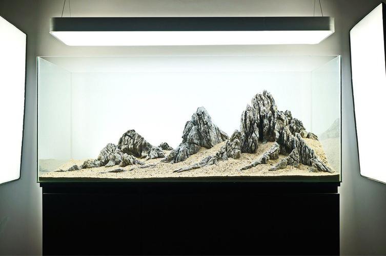 有沒(méi)有更多自然風(fēng)格的龍魚(yú)缸造景圖？