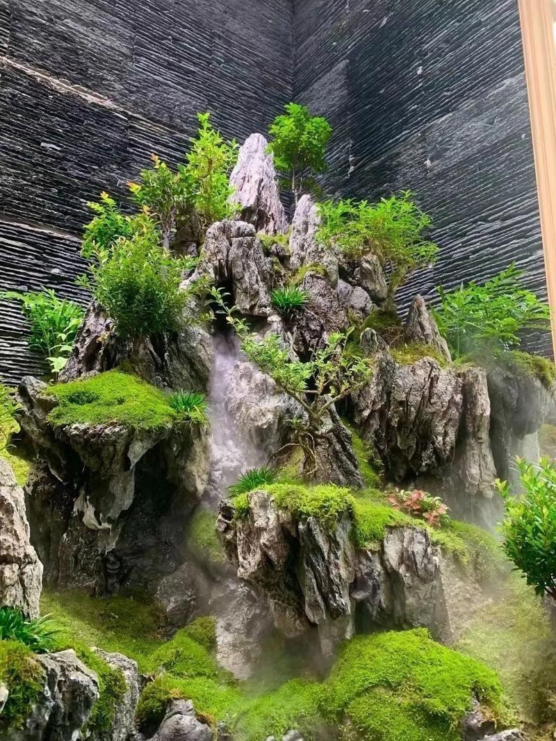 有沒(méi)有更多自然風(fēng)格的龍魚(yú)缸造景圖？