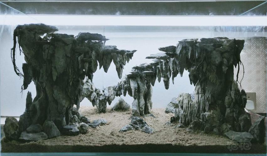 有沒(méi)有更多自然風(fēng)格的龍魚(yú)缸造景圖？