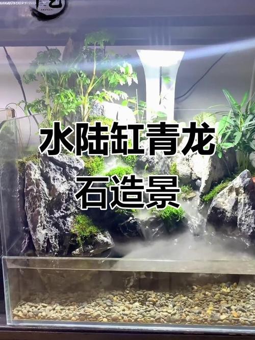 有沒(méi)有更多自然風(fēng)格的龍魚(yú)缸造景圖？