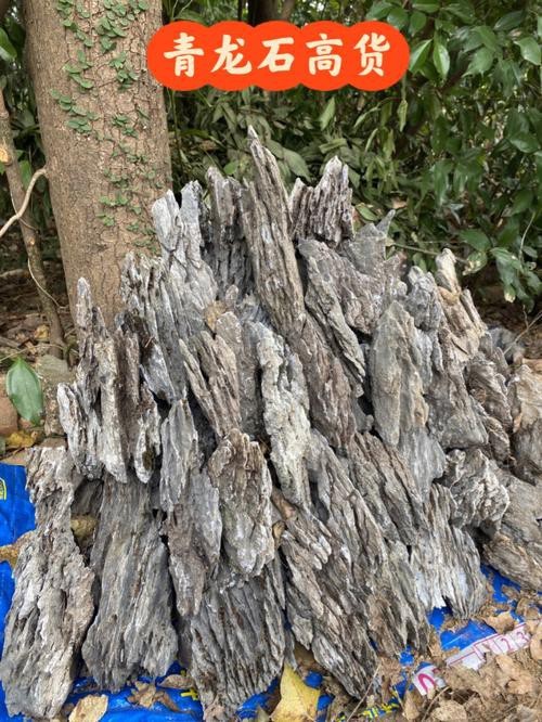 有沒(méi)有更多自然風(fēng)格的龍魚(yú)缸造景圖？