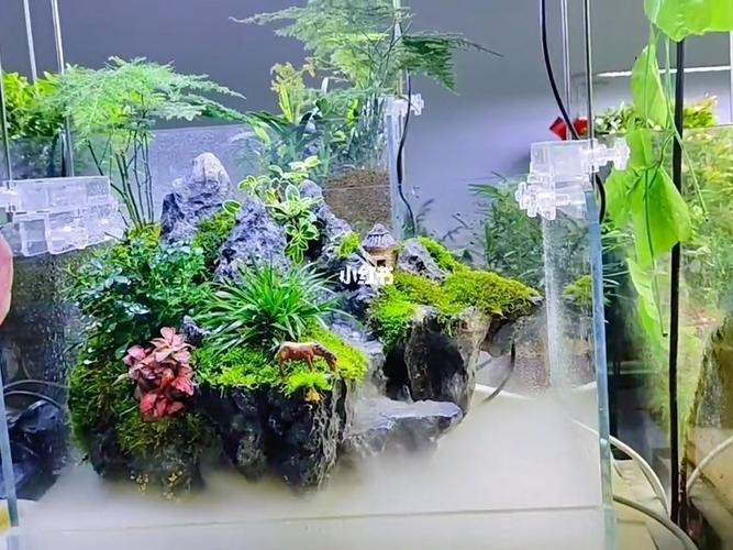 有沒(méi)有更多自然風(fēng)格的龍魚(yú)缸造景圖？