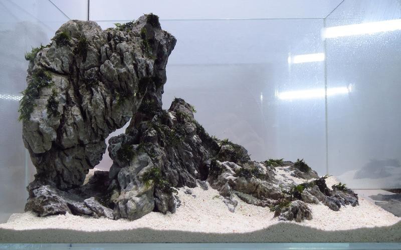 有沒(méi)有更多自然風(fēng)格的龍魚(yú)缸造景圖？