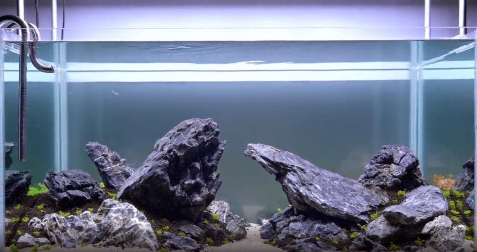 有沒(méi)有更多自然風(fēng)格的龍魚(yú)缸造景圖？