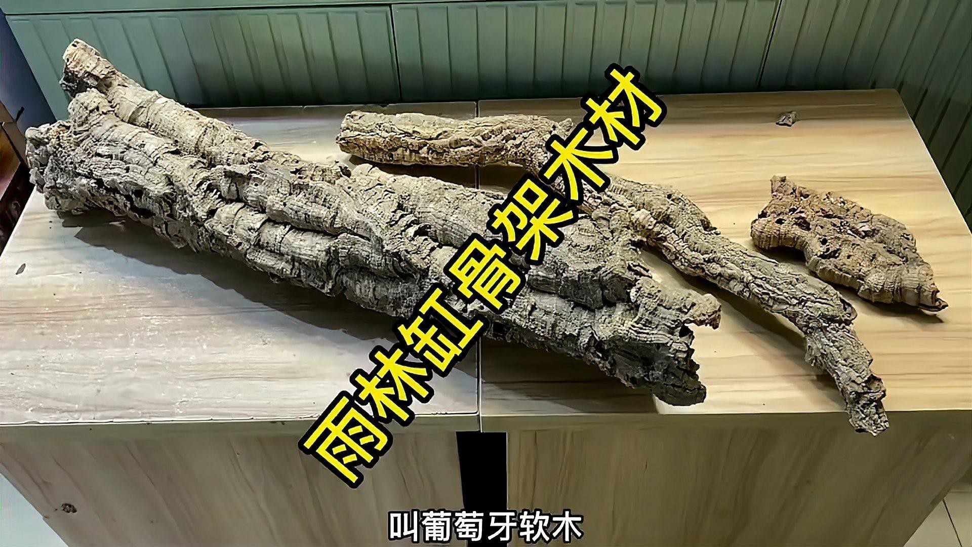 有沒(méi)有更多自然風(fēng)格的龍魚(yú)缸造景圖？