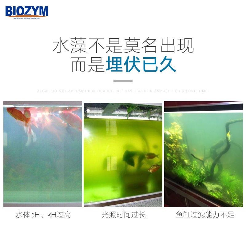 魚缸除藻劑多長時間放一次：魚缸除藻劑使用頻率應注意以下幾點魚缸除藻劑的選擇技巧