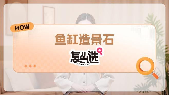 金龍魚缸圖片大全