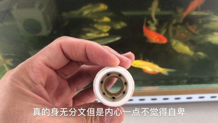 文氏原理的魚缸：文氏原理在魚缸設(shè)計中的應(yīng)用