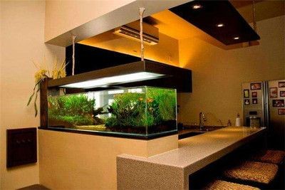高檔魚缸品牌排行榜前十名：高檔魚缸品牌排行前十名：cn10/cnpp