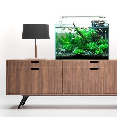 德邦快遞能發魚缸嗎費用：德邦快遞可以承運魚缸嗎