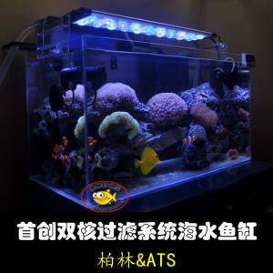 海魚魚缸的價格范圍是多少：海魚魚缸價格 海魚魚缸的價格范圍是多少：海魚魚缸價格 魚缸百科 第3張