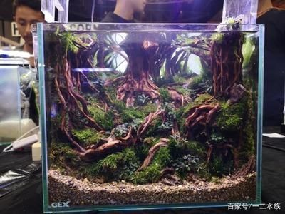 熱帶雨林仿生魚缸造景師的專業名稱是生態造景師的專業名稱：熱帶雨林仿生魚缸造景師