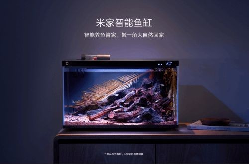 小米魚缸童鎖怎么關:如何解除小米魚缸的童鎖 魚缸百科 第4張 小米魚缸童鎖怎么關:如何解除小米魚缸的童鎖 小米魚缸童鎖怎么關:如何解除小米魚缸的童鎖 魚缸百科 第4張