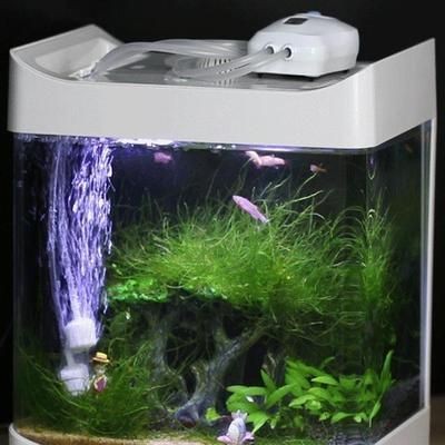 觀景魚(yú)缸需要一直供氧嗎？：觀景魚(yú)缸不需要一直供氧