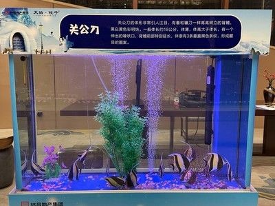 廣州搬魚缸服務(wù)公司：廣州搬家公司提供專業(yè)的搬魚缸服務(wù)
