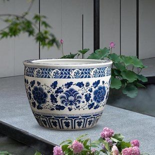 青花瓷小魚缸:青花瓷小魚缸價格介紹 魚缸百科 第4張 青花瓷小魚缸:青花瓷小魚缸價格介紹 青花瓷小魚缸:青花瓷小魚缸價格介紹 魚缸百科 第4張