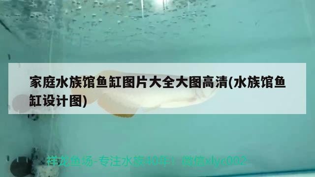 鄭州航空港區樂享花店
