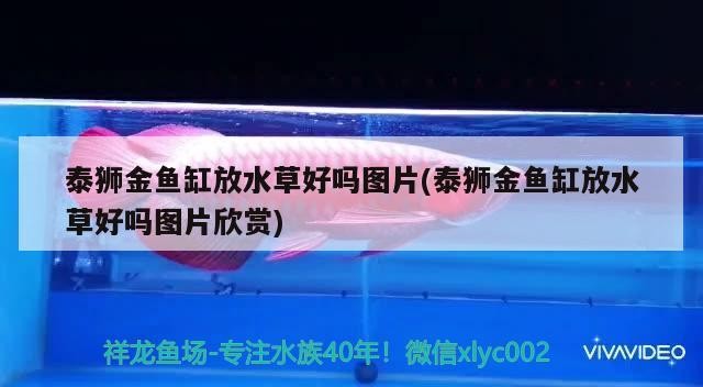 鄭州航空港區樂享花店
