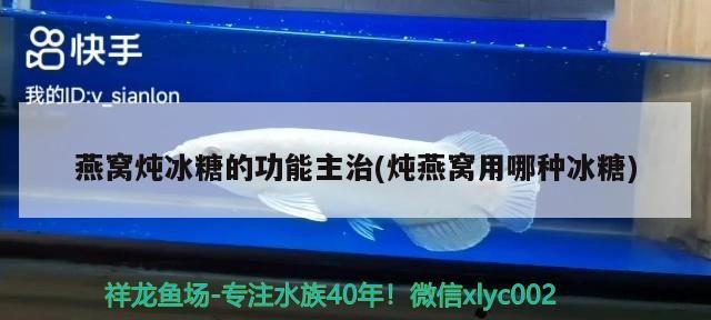 鄭州航空港區樂享花店