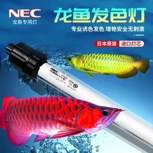 魚缸NEC燈管正確擺方圖片：魚缸nec燈管正確擺方圖片詳情