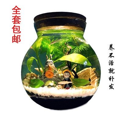 魚缸可不可以不換水（魚缸可不可以不換水取決于多種因素，取決于多種因素）