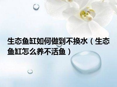 魚缸可不可以不換水（魚缸可不可以不換水取決于多種因素，取決于多種因素）