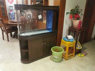 魚缸定制多少錢一平方（魚缸定制多少錢一平方大型魚缸每平方價格范圍大）