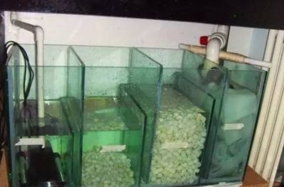 底濾魚缸組裝視頻（底濾魚缸的組裝） 底濾魚缸組裝視頻（底濾魚缸的組裝） 魚缸百科 第3張