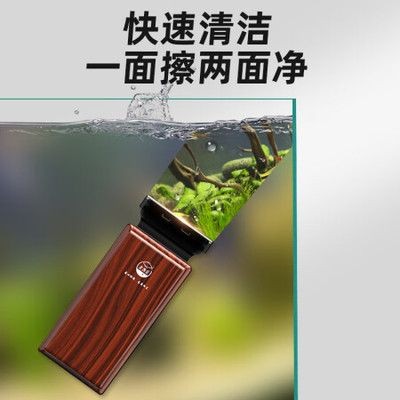 魚缸擦推薦：魚缸清潔工具使用技巧
