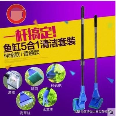 魚缸擦推薦：魚缸清潔工具使用技巧