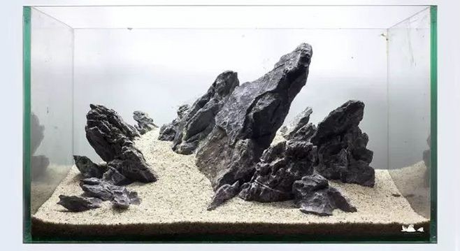 龜紋石魚缸造景的藝術與科學魚缸造景素材的養護方法：魚缸造景中龜紋石的養護技巧