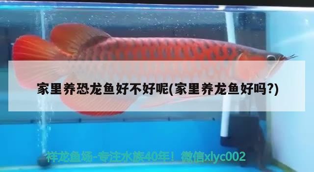 安次區藤繡閣家具店