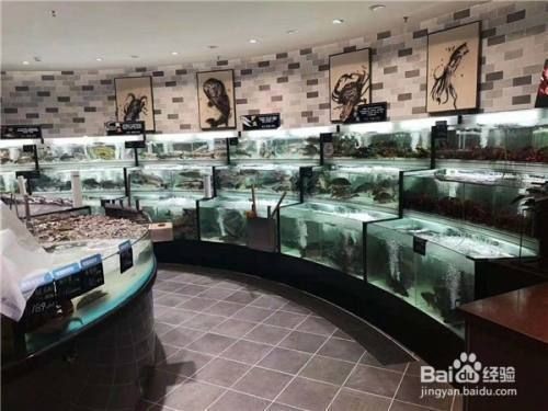 海鮮店魚缸泡沫多怎么處理（海鮮店魚缸泡沫多怎么辦）
