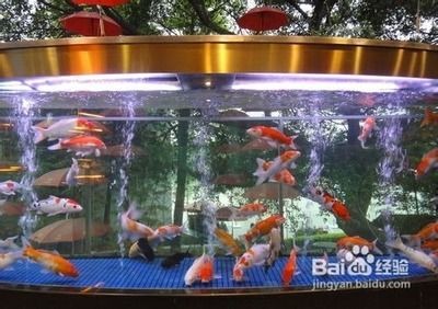辦公室魚缸的風水布局：辦公室風水布局全解析