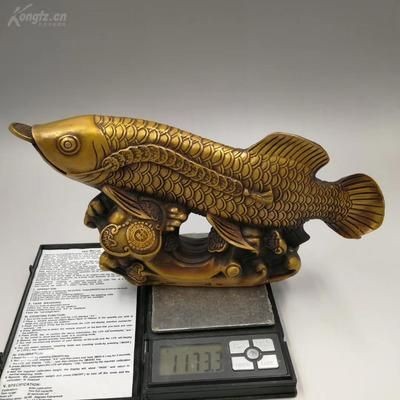 最貴金龍魚(yú)拍賣(mài)多少錢(qián)：最貴的金龍魚(yú)拍賣(mài)多少錢(qián)
