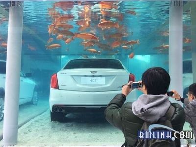 高級(jí)魚缸：高級(jí)魚缸的設(shè)計(jì)、材料選擇和制作過程