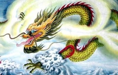 紅龍魚出框怎么看：如何觀察紅龍魚出框
