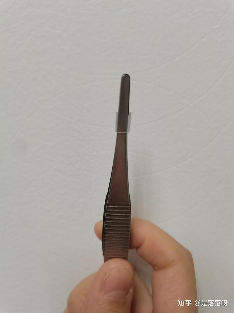 六角恐龍魚不動彈